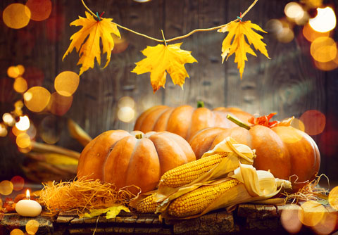 A picture of pumpkins and and an autumn garland