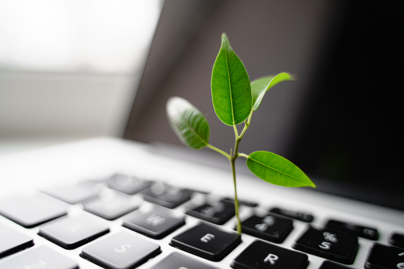 Laptop keyboard with plant growing on it..