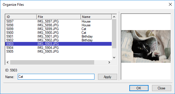 Example of dialog using preview of a cat picture