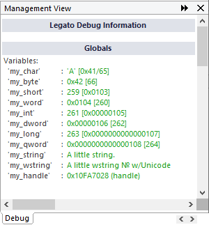 Management View with the Debug View tab open showing different types of data