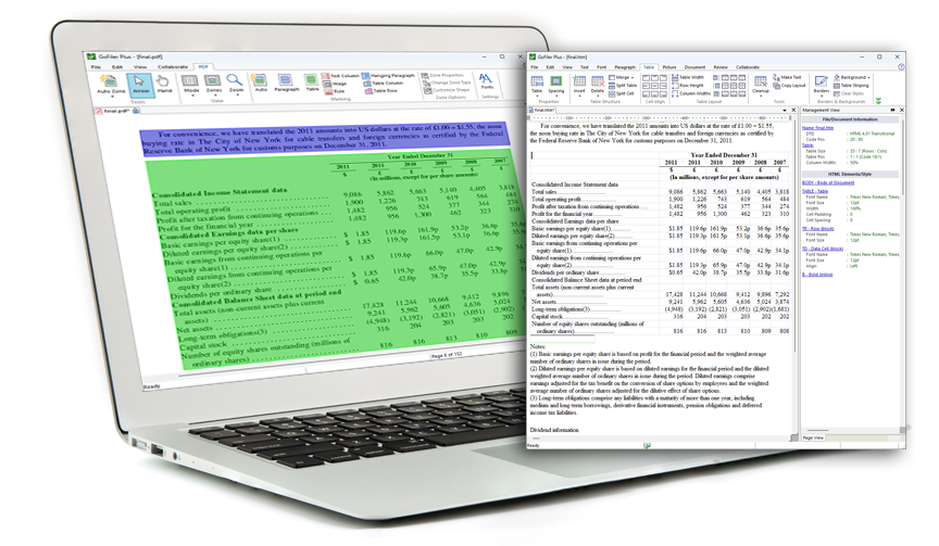 PDF View in GoFiler